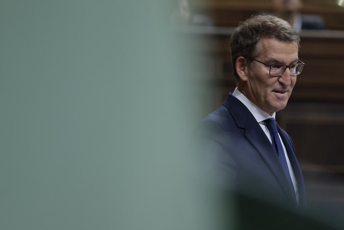 Feijóo propone bajar IRPF e IVA y eximir del pago de impuestos a los nuevos autónomos Feijóo propone bajar IRPF e IVA y eximir del pago de impuestos a los nuevos autónomos