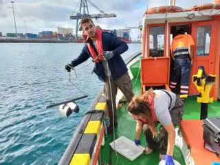 Ecos, una apuesta por el desarrollo sostenible y la conservación de ecosistemas