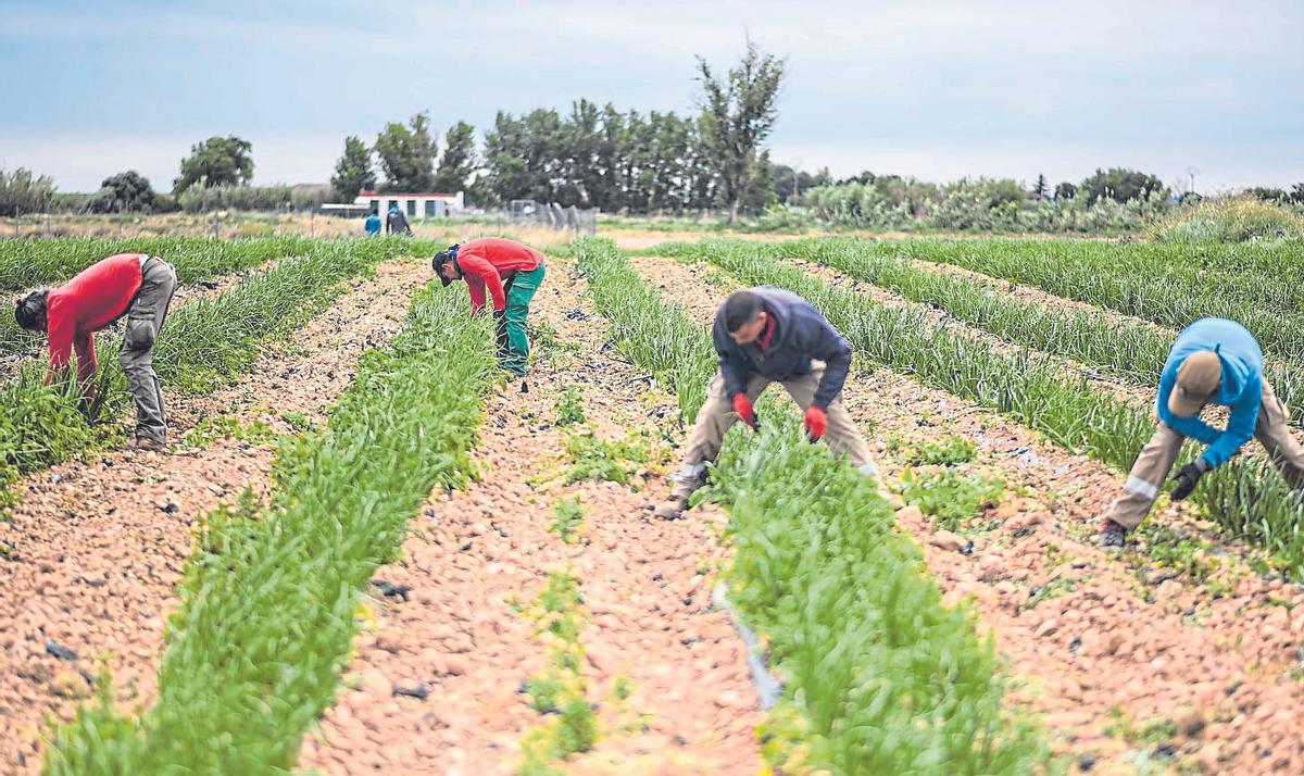 Trabajadores del Centro Especial de Empleo Gardeniers de Atades, iniciativa de economía social para dar trabajo a personas con discapacidad.|