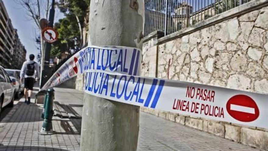 La procesionaria obliga a cerrar un tramo de acera en la calle Oliver