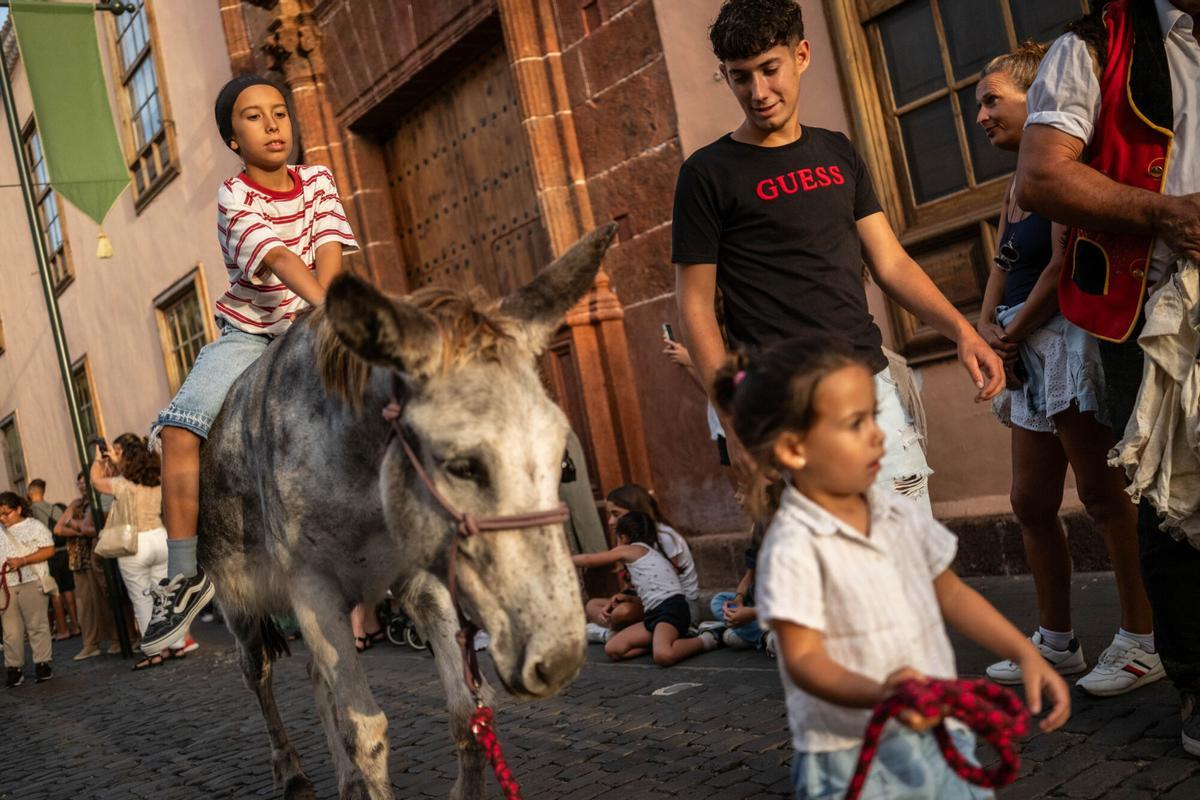 Noche de los Burros en La Laguna