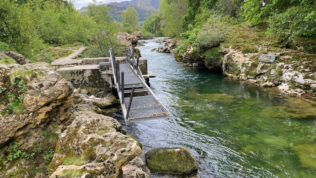 El Golondrosu, en Cangas de Onís.