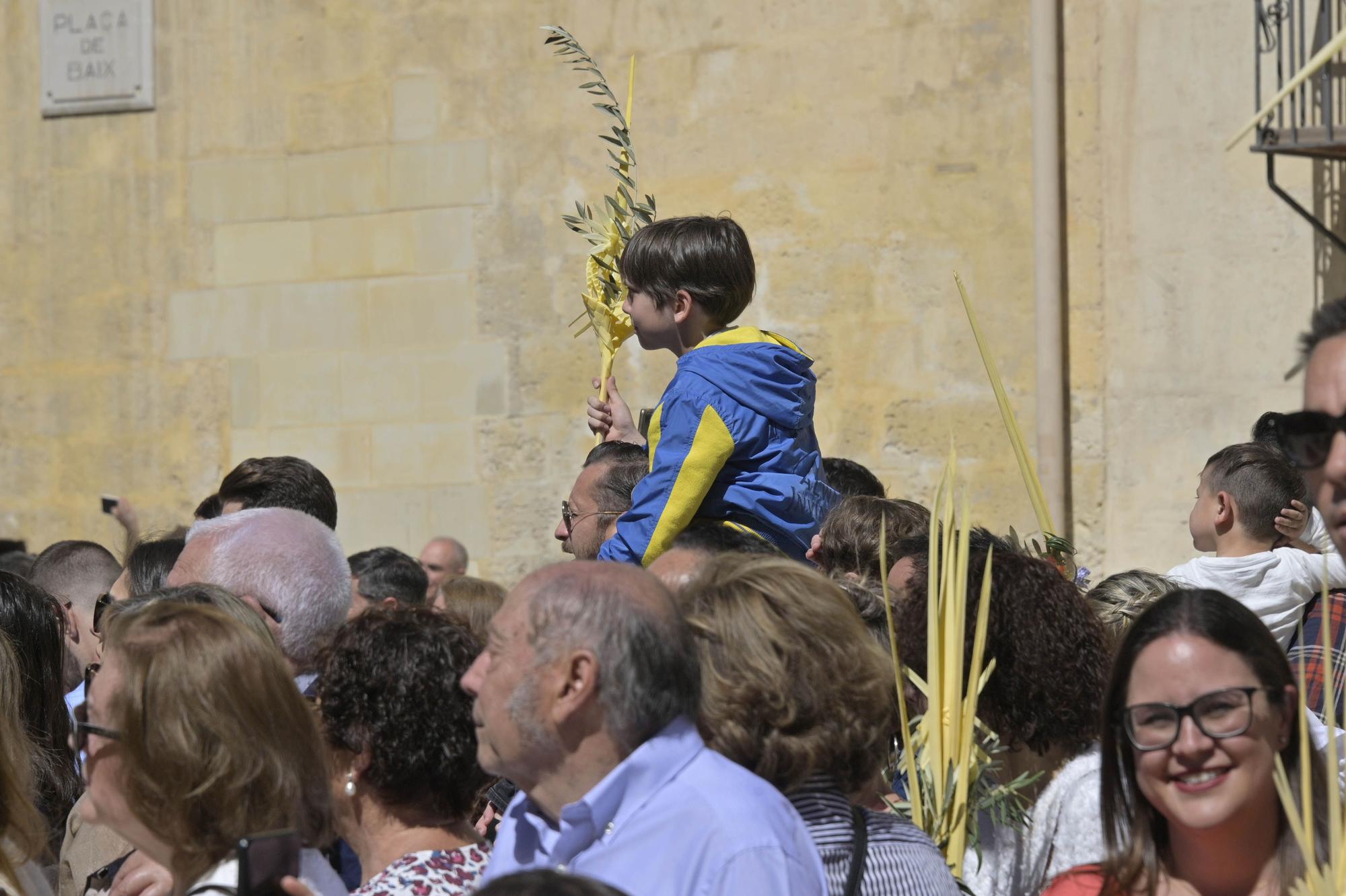 Domingo de Ramos en Elche