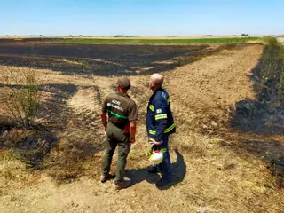 Medios aéreos y los Bomberos de la Diputación de Zamora contienen un incendio agrícola en Monfarracinos