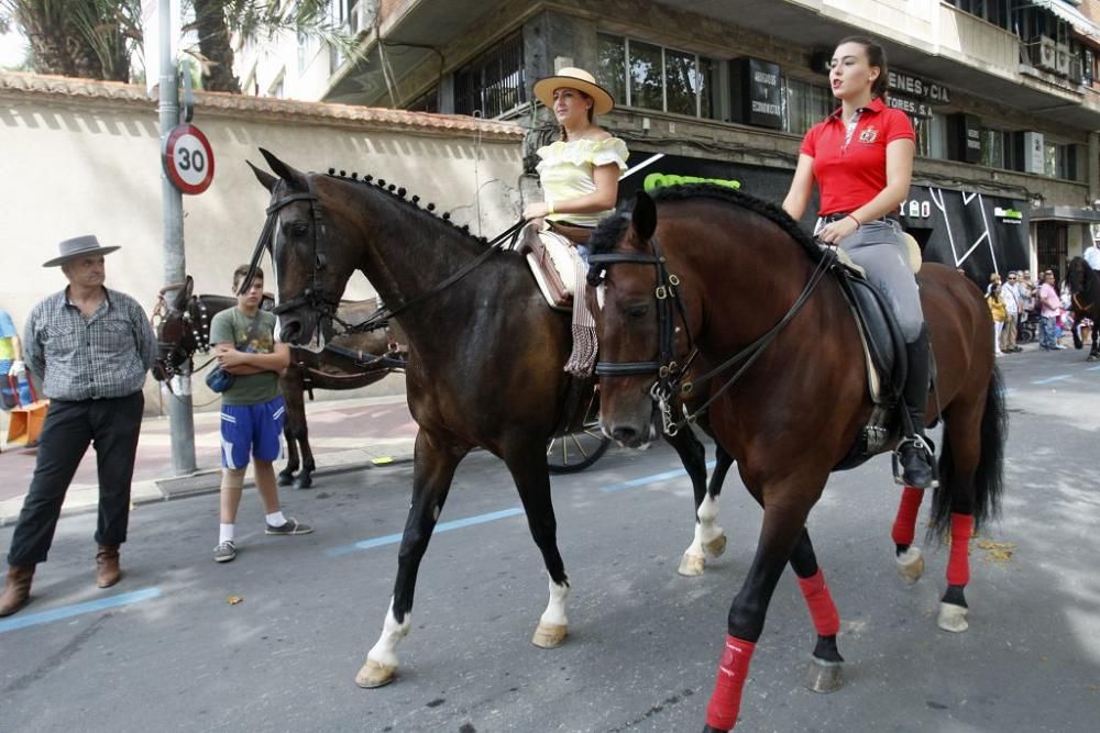 Día del Caballo en Alfonso X