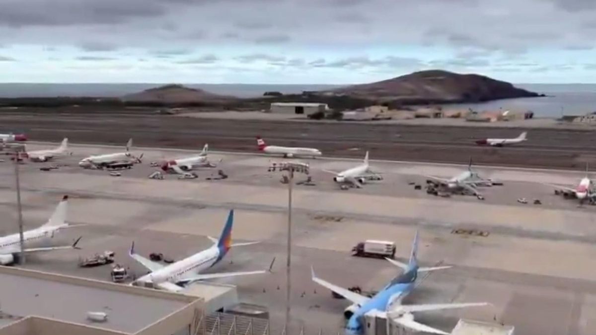 Un ave obliga a un vuelo a regresar a Gran Canaria