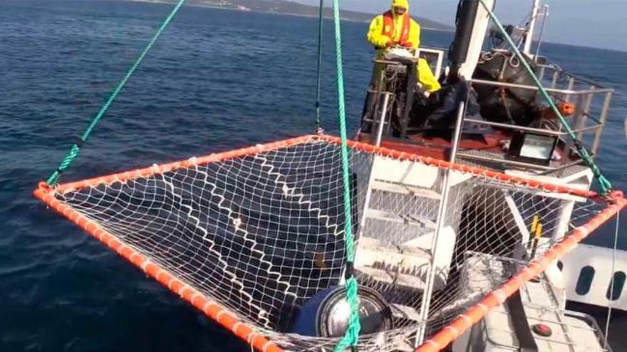 Despliegue en el mar... contra la contaminación