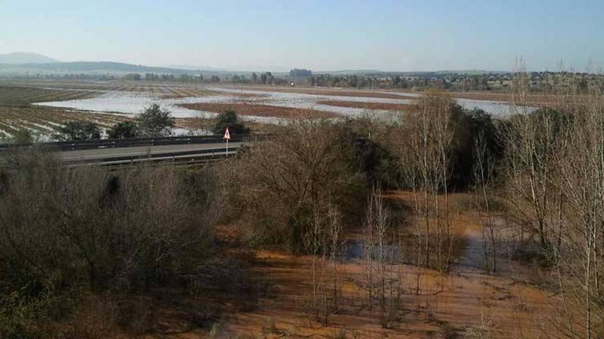 El Guadámez inunda unas 500 hectáreas de terreno agrícola