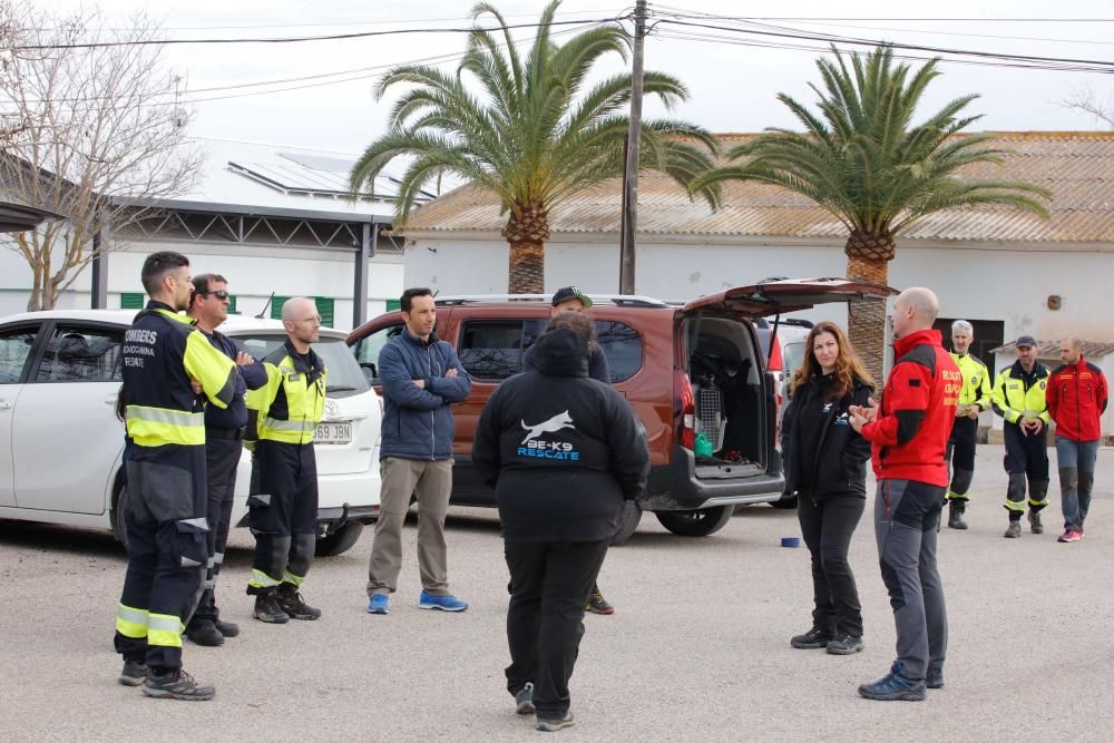 Técnicas de búsqueda de personas con perros