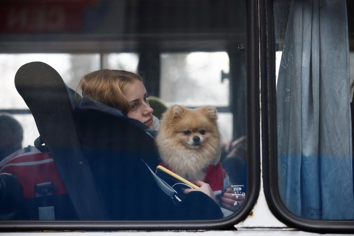 Una mujer y su perro miran por la ventana de un autobús que ha llegado al centro de acogida temporal de Korczowa, en Polonia.