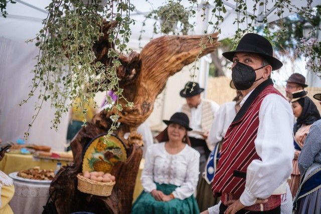 Actos en Santa Cruz por el Día de Canarias