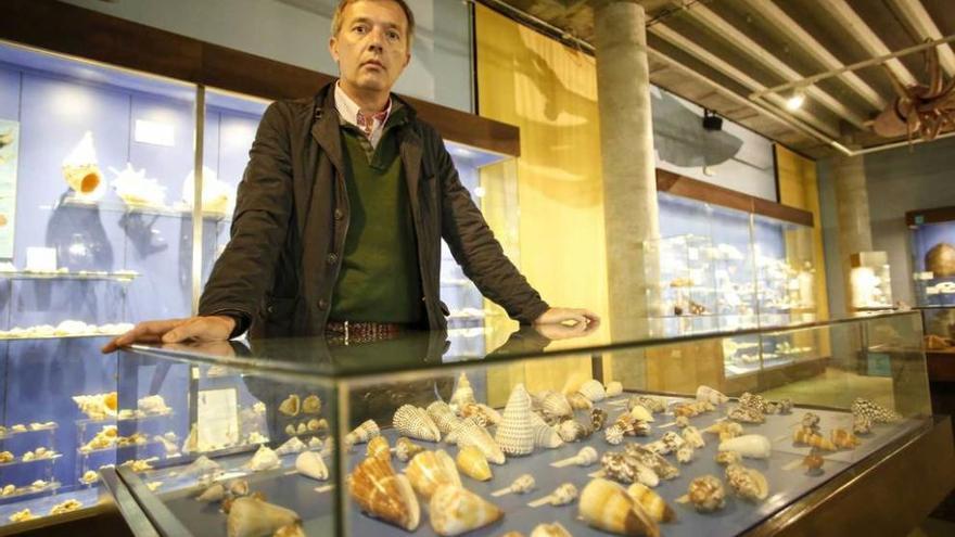 José Manuel Rico Ordás, ayer, en el Museo Marítimo de Luanco, en una de sus estancias dedicadas a biología.