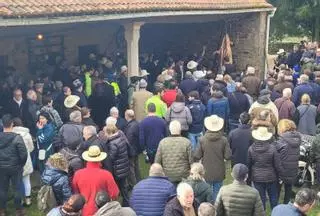 A tradicional matanza do porco xunta centos de veciños e visitantes na aldea lalinense de Anzo