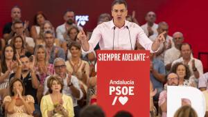 El secretario general del PSOE y presidente del Gobierno en funciones, Pedro Sánchez.