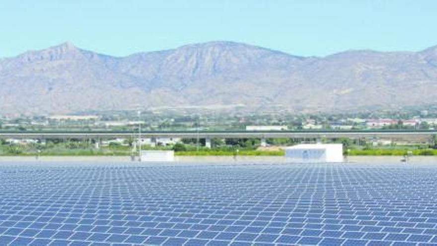 La fotovoltaica és
clau en la transició
ecològica. AXEL ÁLVAREZ