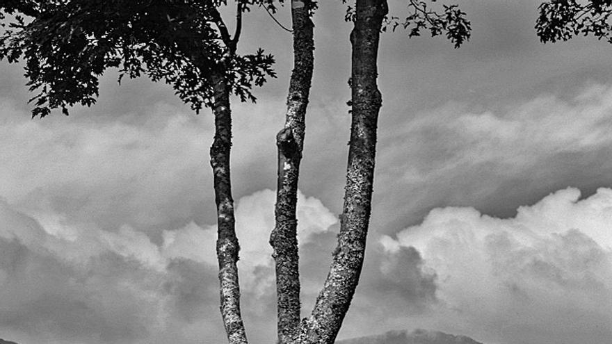 Fotografía de Arno Rafael Minkkinen.
Reproducción del  Centro Niemeyer