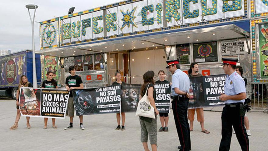 Els activistes d&#039;AnimaNaturalis manifestant-se davant el Circo Italianio ahir, a Lloret.