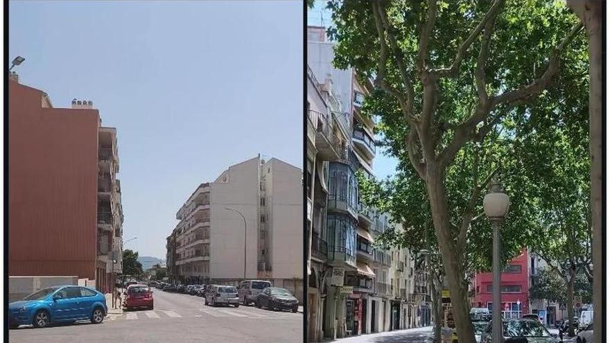 La Fundació Pinnae impulsa un projecte de Per la Conca per millorar la salut ambiental dels espais urbans