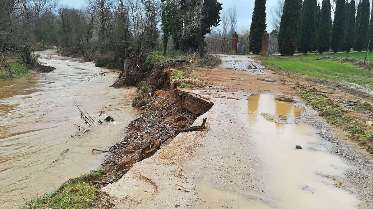 El camí de la riera Bugantó el gener de 2020 després del pas del temporal «Gloria»                           AJUNTAMENT DE FORNELLS DE LA SELVA