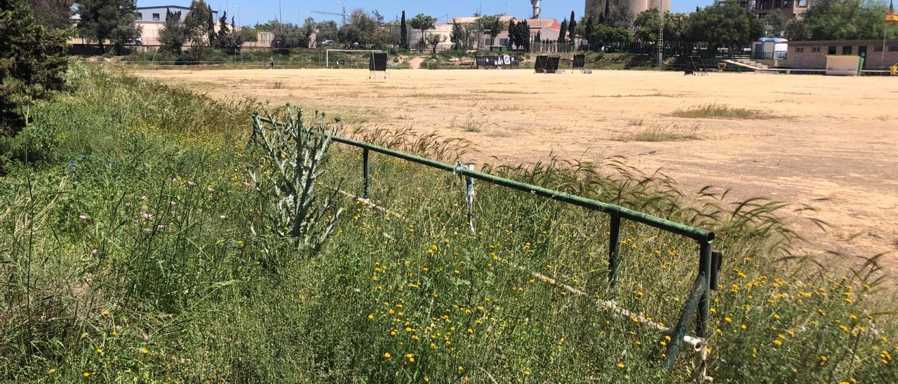 Maleza tras la valla y en el campo del Rigas