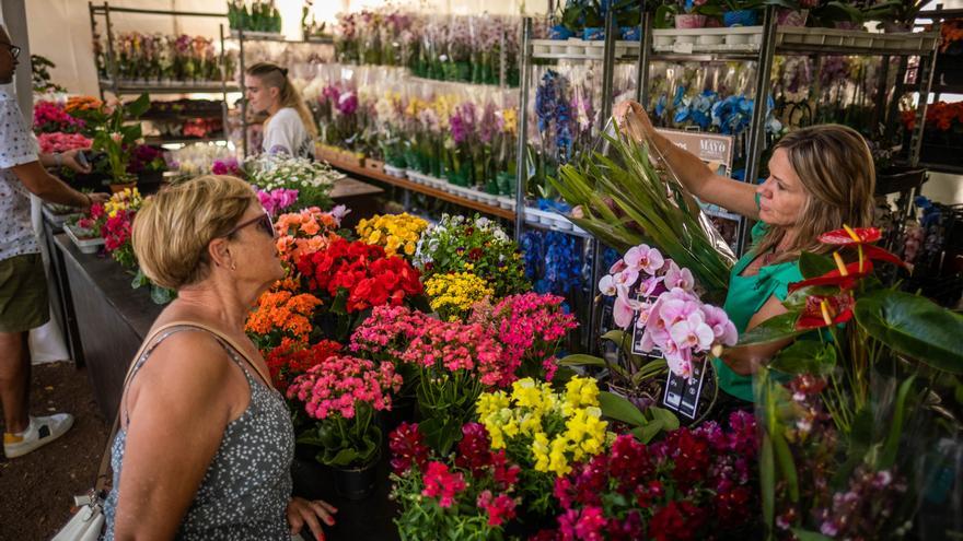 Para gustos colores y  para opiniones flores