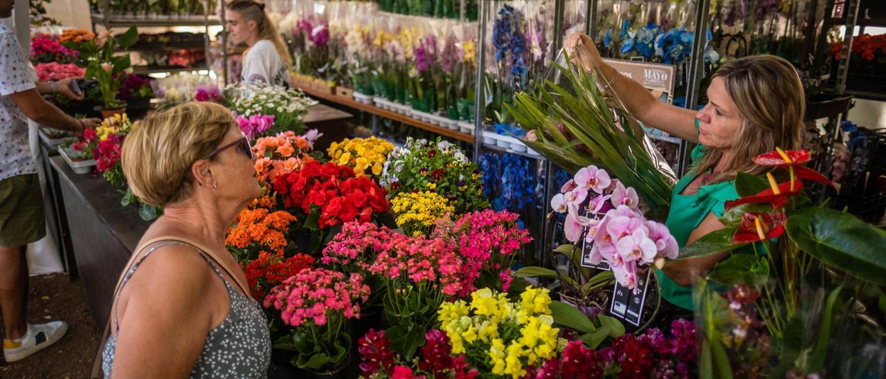 Uno de los puestos de venta de flor ornamental en el parque García Sanabria.