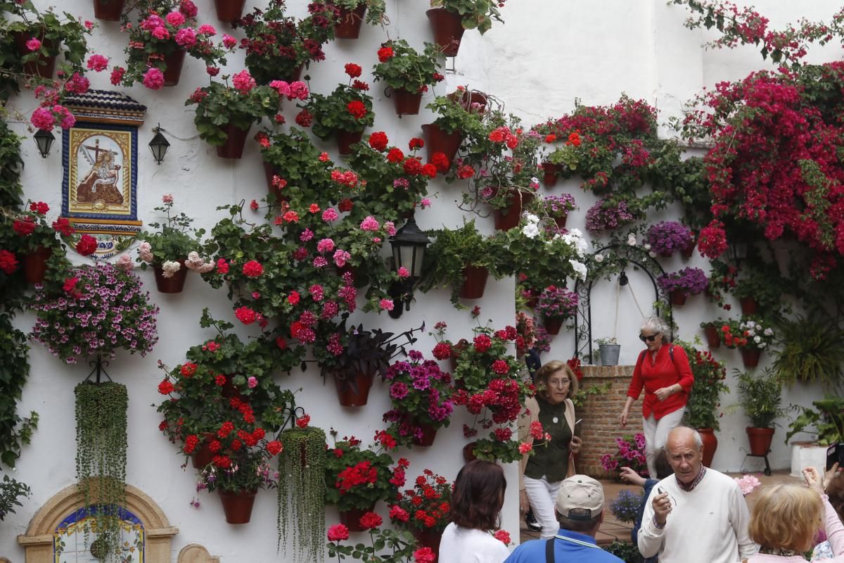 Paseando por los patios de la San Lorenzo y San Rafael