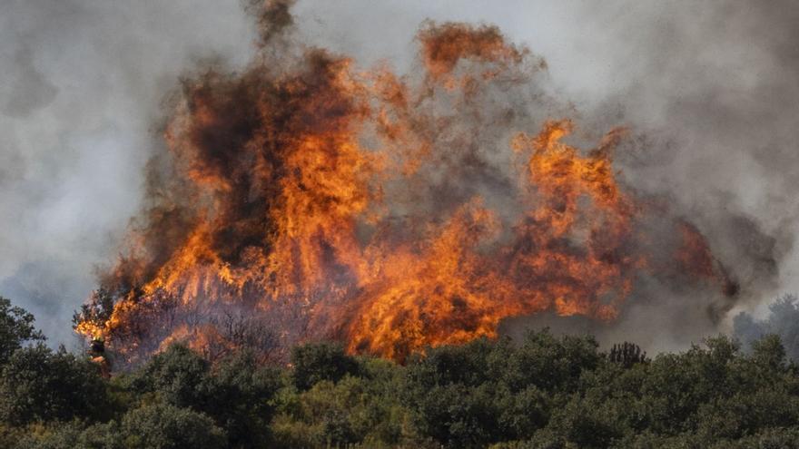 En directo | El incendio de Bejís se desborda: el fuego ya cubre un perímetro de 120 kilómetros