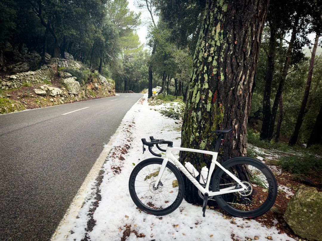 So erleben die Menschen den Schnee auf Mallorca