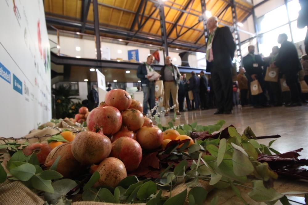 Symposium Internacional del Sector Agroalimentario de la Vega Baja