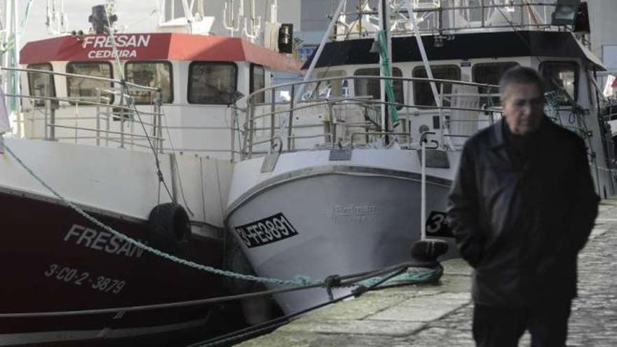 Barcos del Gran Sol amarrados a puerto.  // Fran Martínez