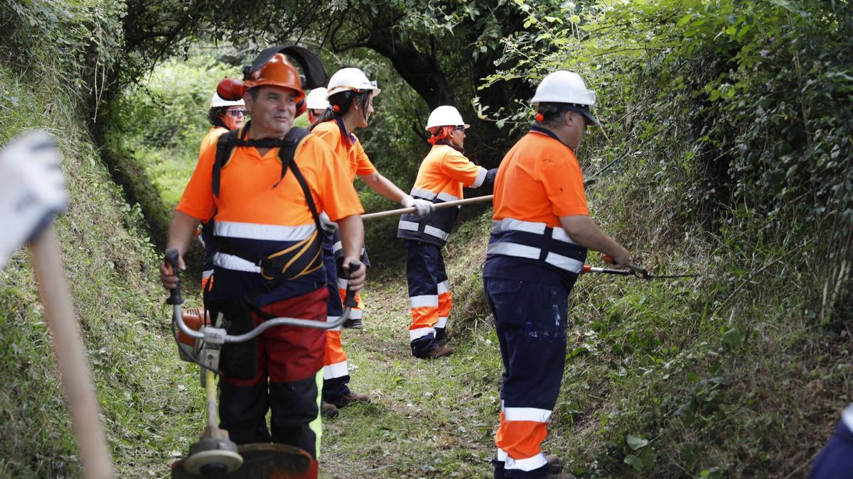 Los trabajadores del plan de empleo,