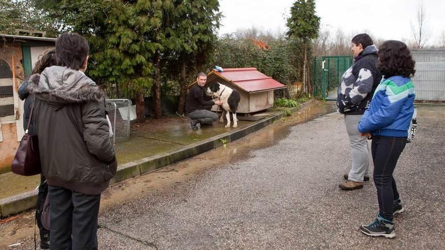 Los nuevos voluntarios, con uno de los perros de Pajomal.