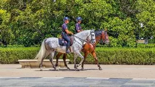 El Govern de Catalunya lanza una beca de 500 € al mes para opositar: quién puede cobrarla en 2026