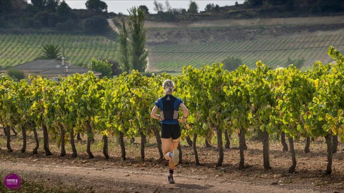 Éxito de participación en la Penedès 360 Challenge