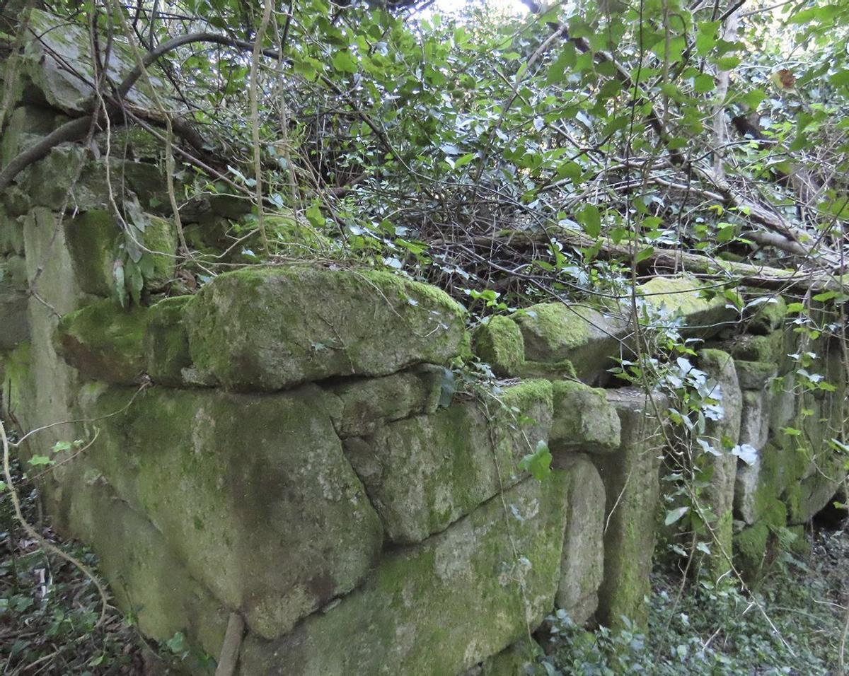 Árboles caídos sobre la estructura del bien patrimonial. | FdV