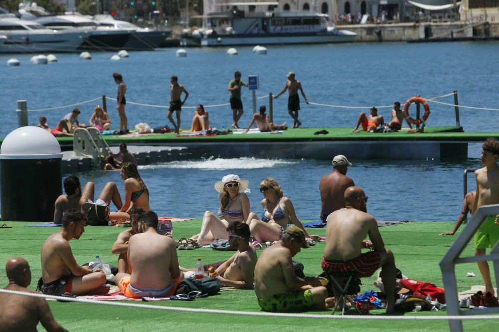 Éxito en el primer fin de semana de la piscina de la Marina de València