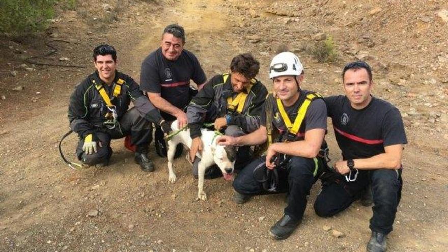 Los bomberos posan con el perro rescatado.
