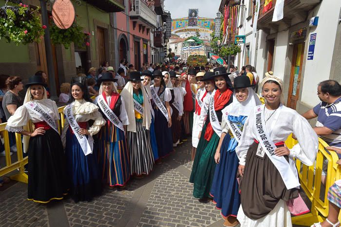 Carretas y grupos en la romería del Pino