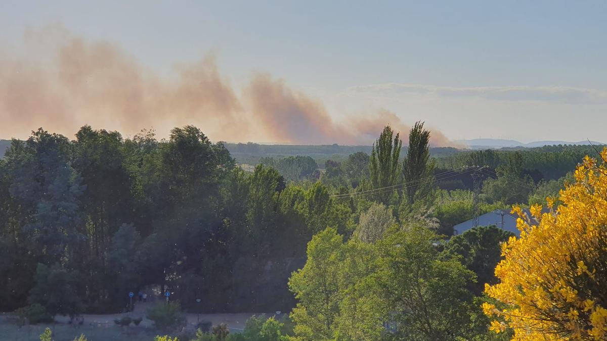 Vista del humo generado por el incendio desde la Mota de Benavente.