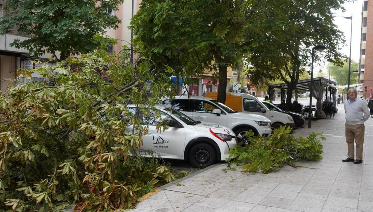 Un centenar de emergencias atendidas, con los bomberos desbordados por Kirk