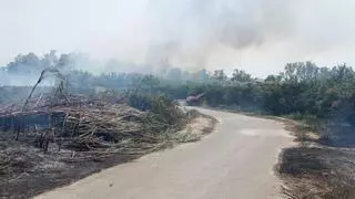 Controlado el incendio declarado junto al río en Alberic