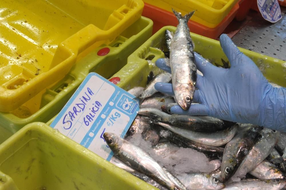 Pocas sardinas en A Coruña en vísperas de San Juan