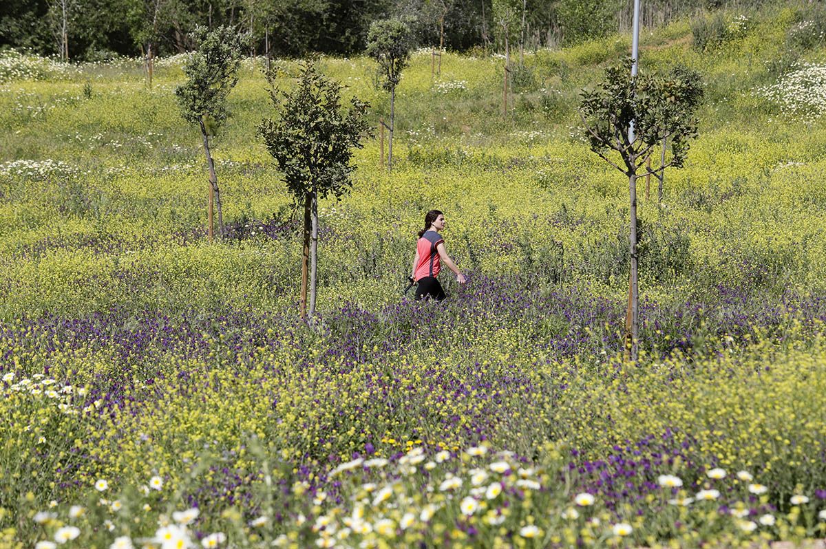 El Parque de Levante de Córdoba avanza en su finalización