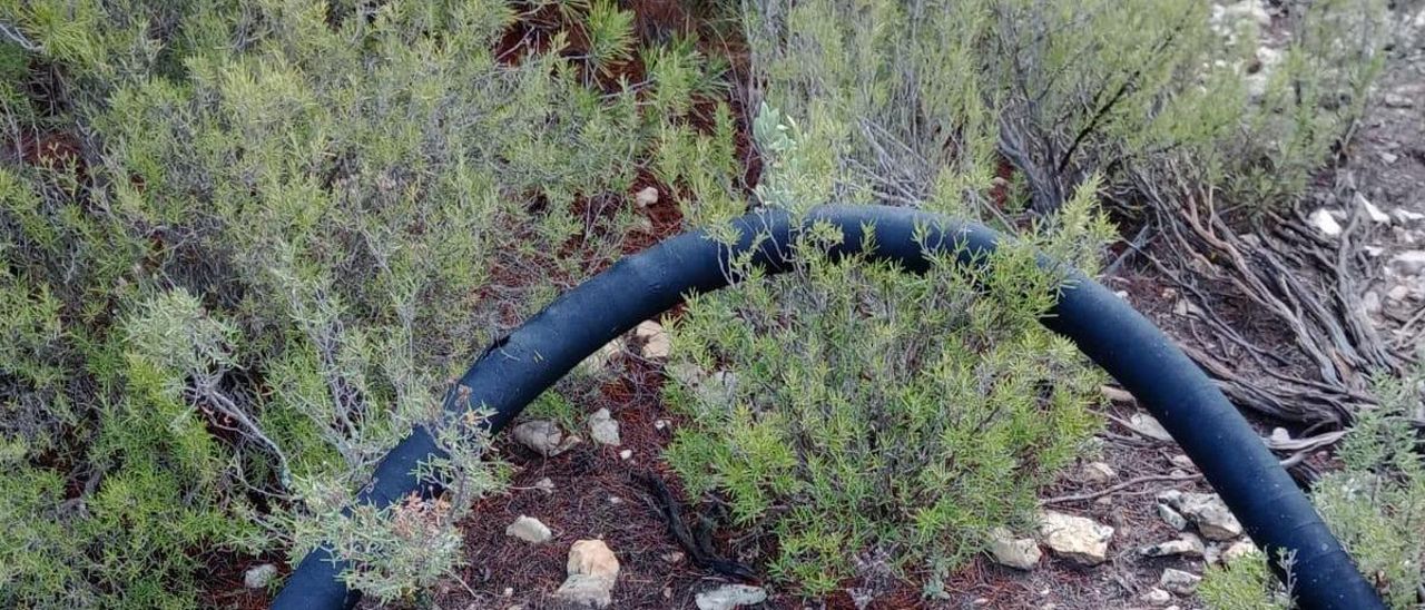 El tubo encontrado en la cima del Chocolate de la sierra de Caprala en Petrer.