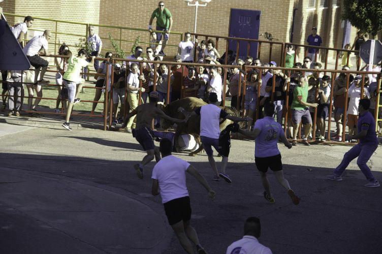 Fiestas de Santa Cristina de la Polvorosa 2017