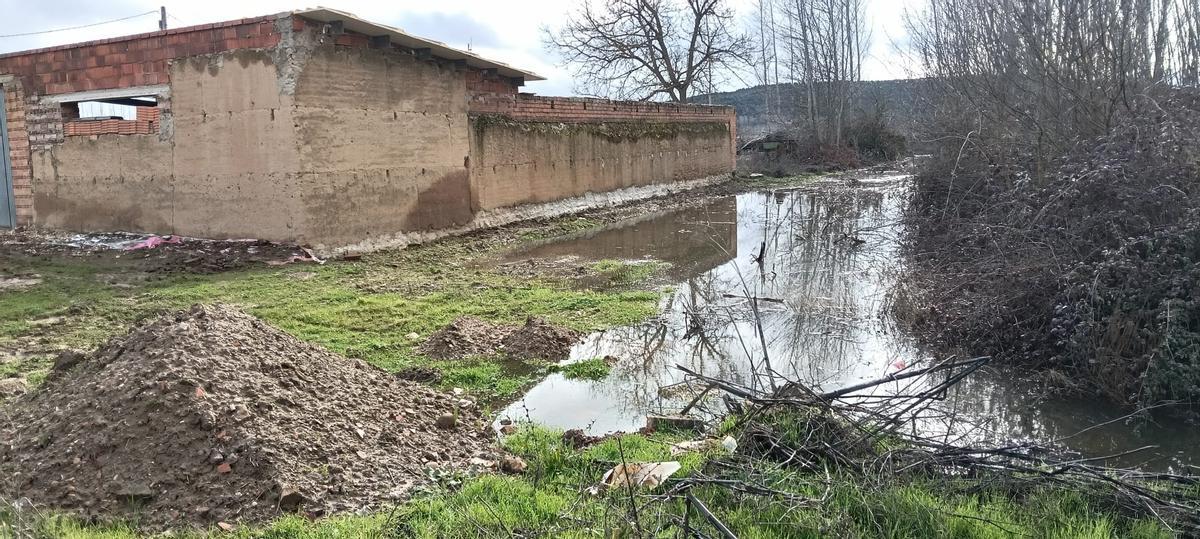 Otra imagen del Órbigo en Vecilla de la Polvorosa.