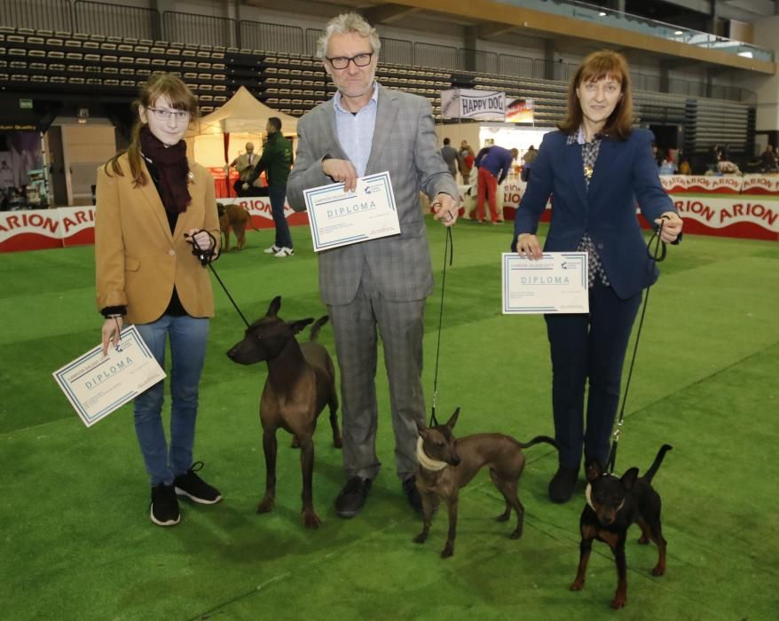 La Exposición Canina de Vigo cierra una nueva edición con grandes resultados.