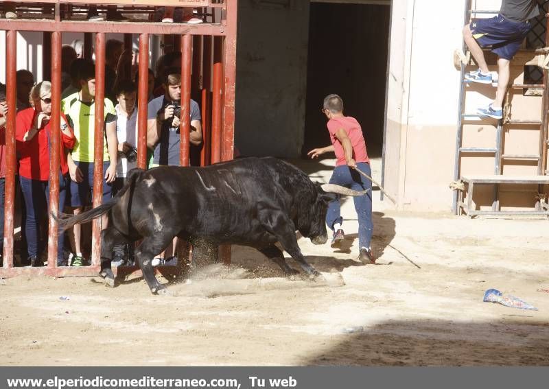 GALERÍA DE FOTOS -- Festejos en honor a Santa Quitèria