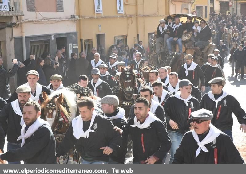 Sant Antoni en la provincia de Castellón